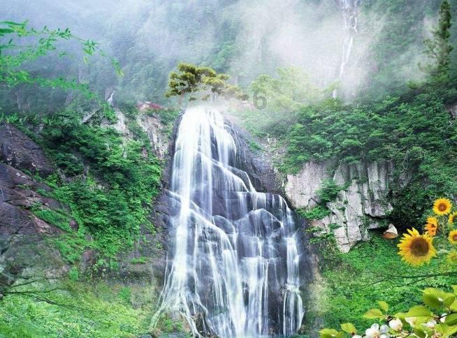 沪江开心词场